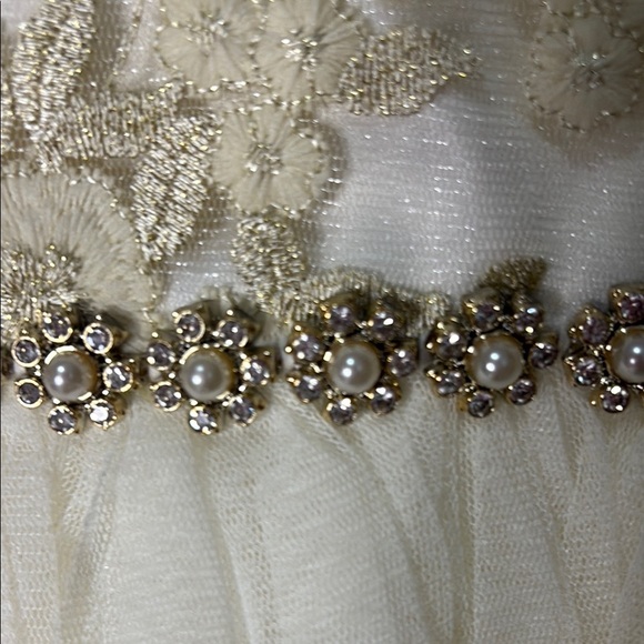 American Princess Cream and Gold Formal Dress - Picture 6 of 7